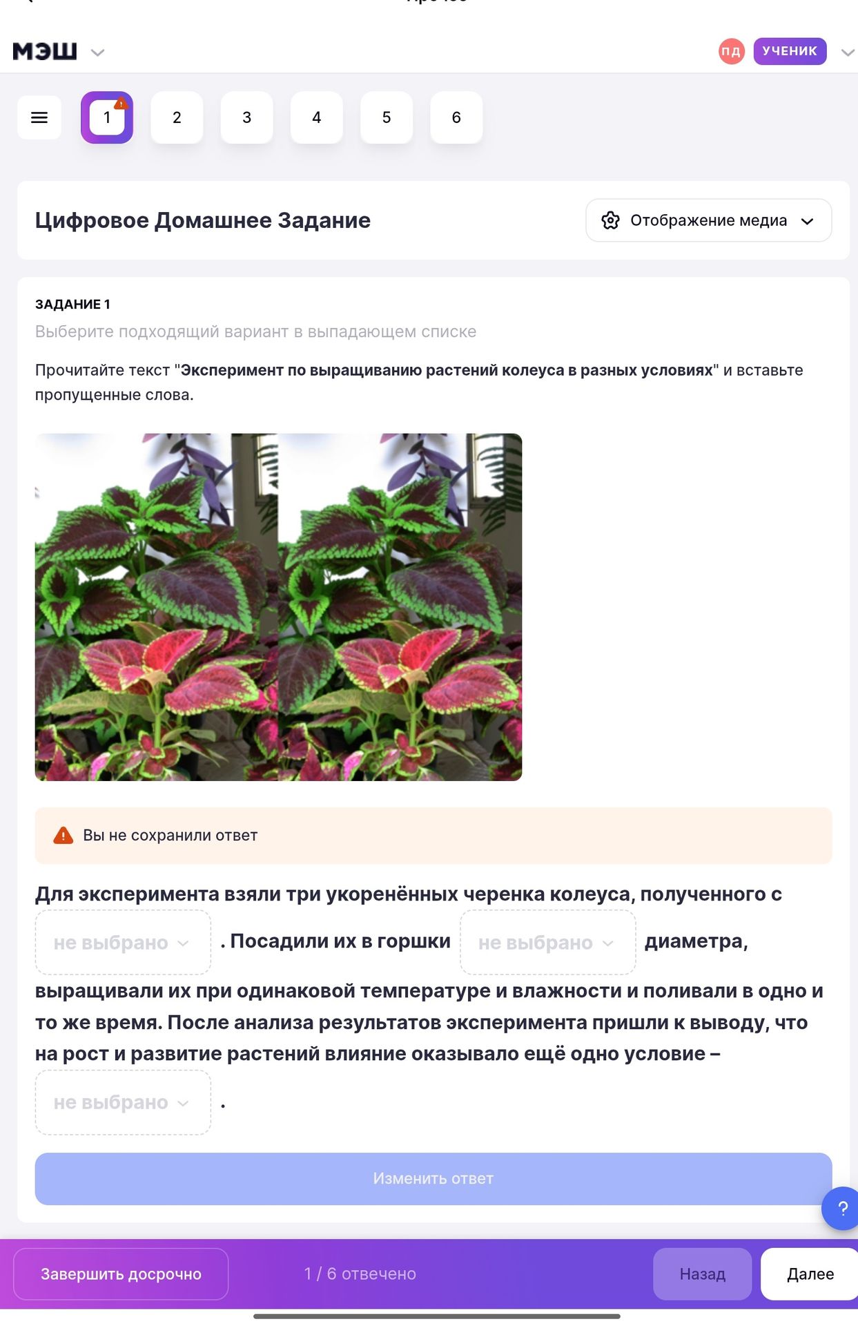 Фото задания: Задание 1. Прочитайте текст «Эксперимент по выращиванию растений колеуса в разных условиях» и вставьте пропущенные слова:…