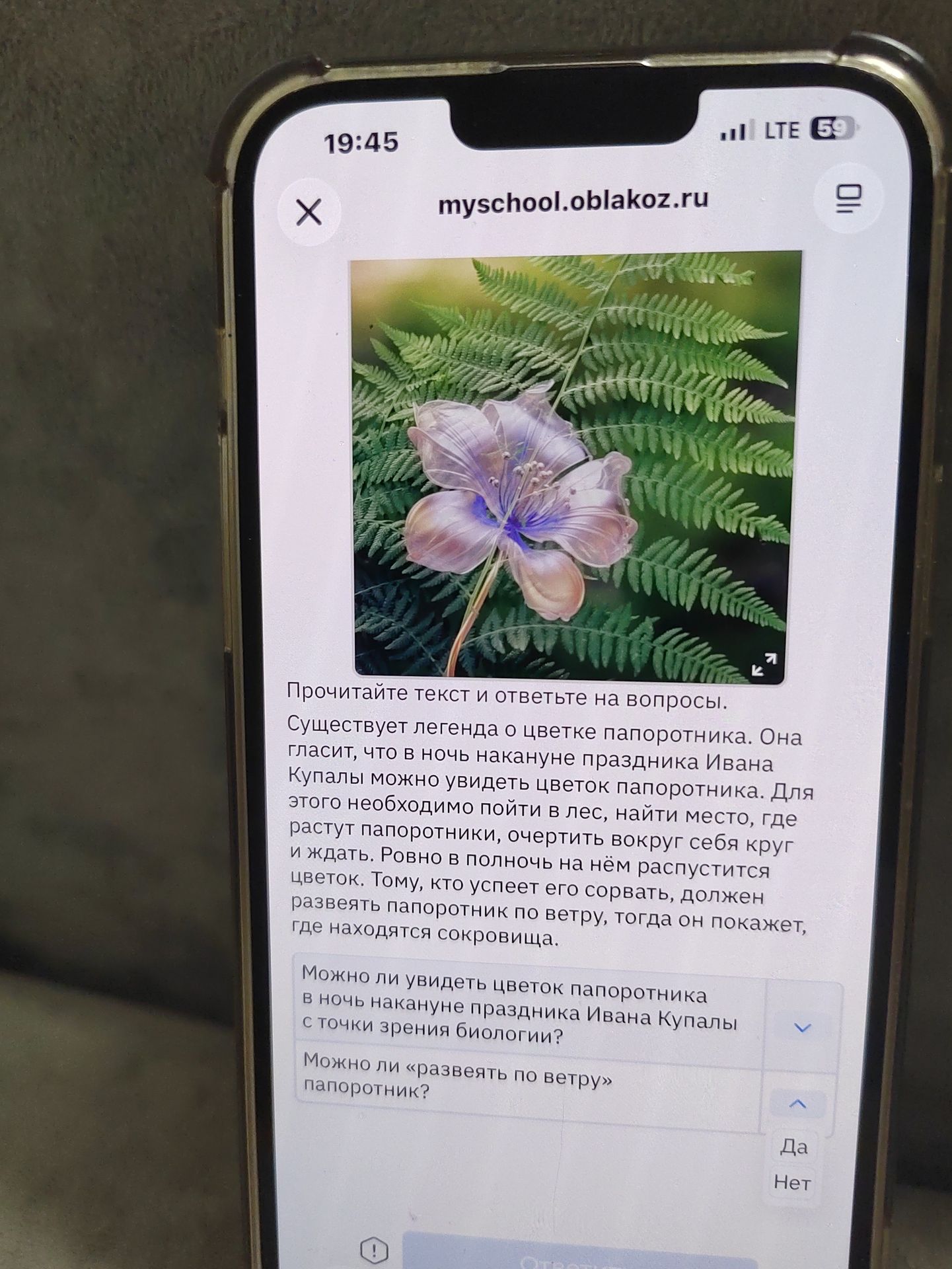 Фото задания: Можно ли увидеть цветок папоротника в ночь накануне праздника Ивана Купалы с точки зрения биологии?