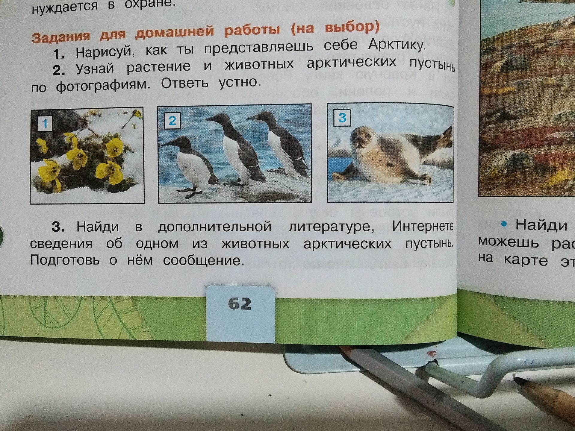 Фото задания: 1. Нарисуй, как ты представляешь себе Арктику.