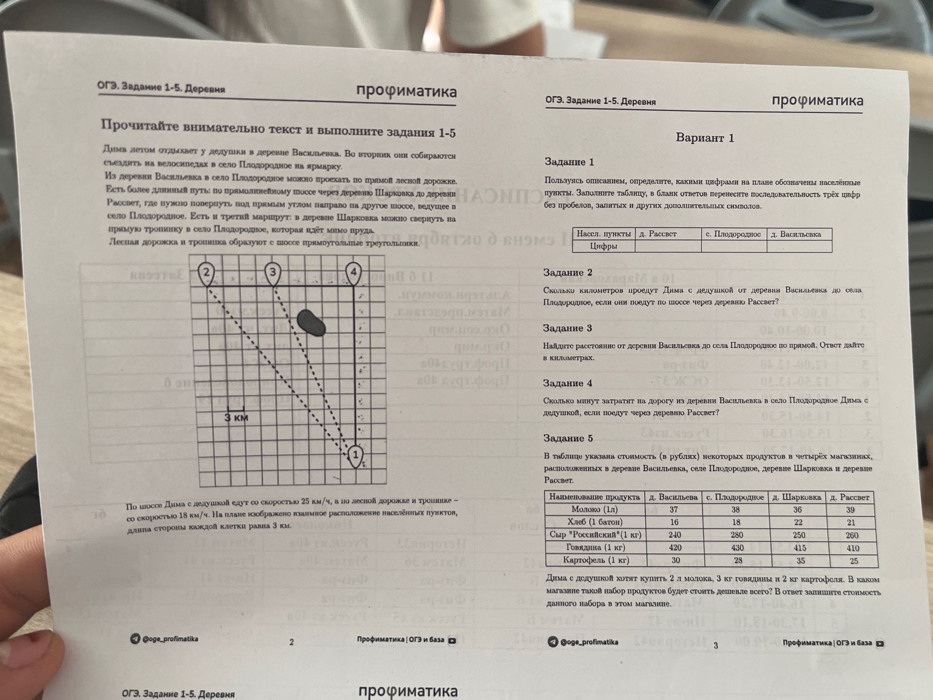 Фото задания: Задание 3. Найдите расстояние от деревни Васильевка до села Плодородное по прямой. Ответ дайте в километрах. Длина стороны…