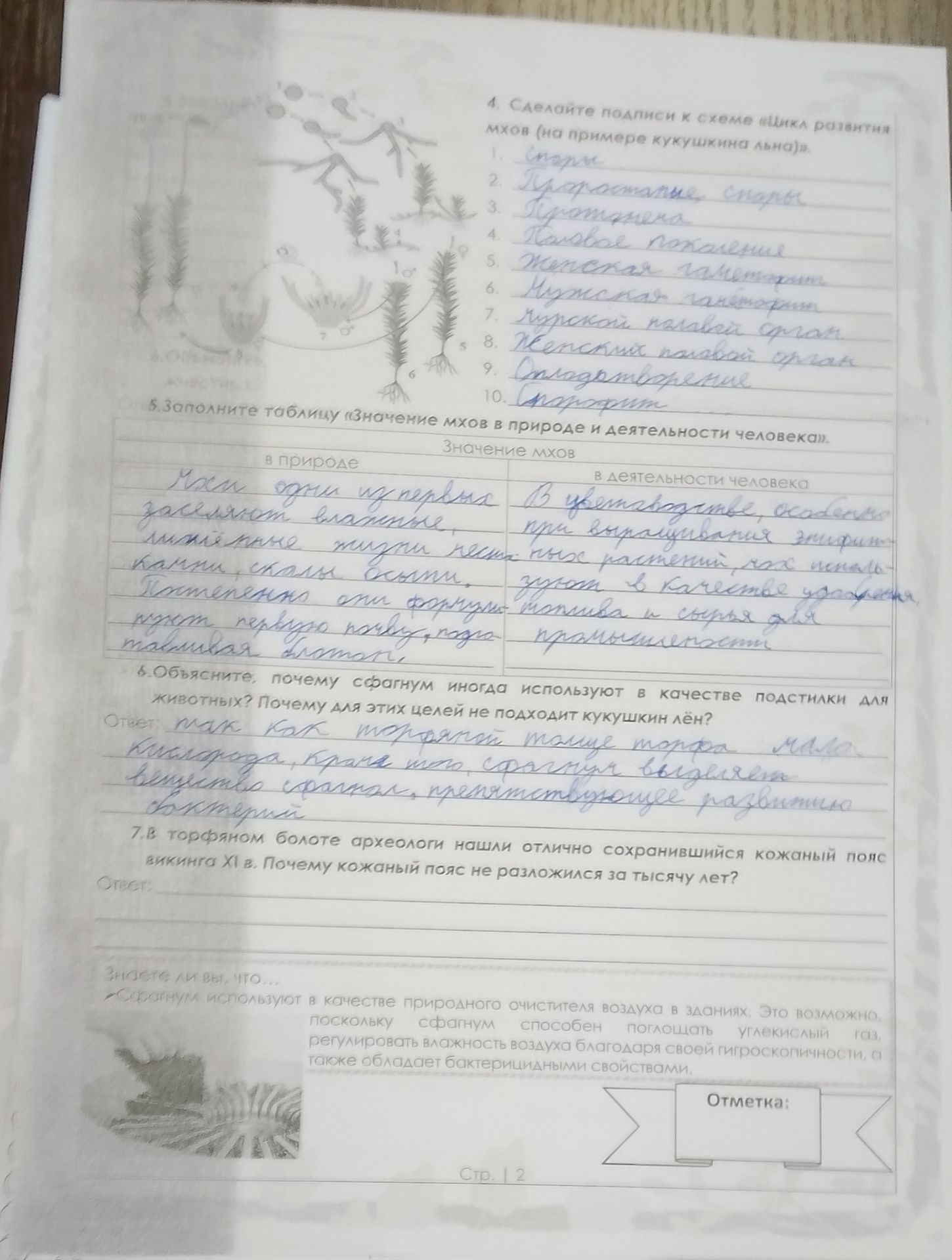 Фото задания: 5. Заполните таблицу «Значение мхов в природе и деятельности человека».