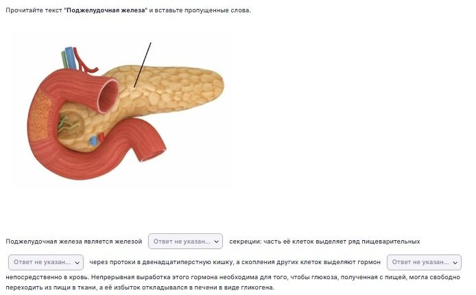Фото задания: Прочитайте текст «Поджелудочная железа» и вставьте пропущенные слова.