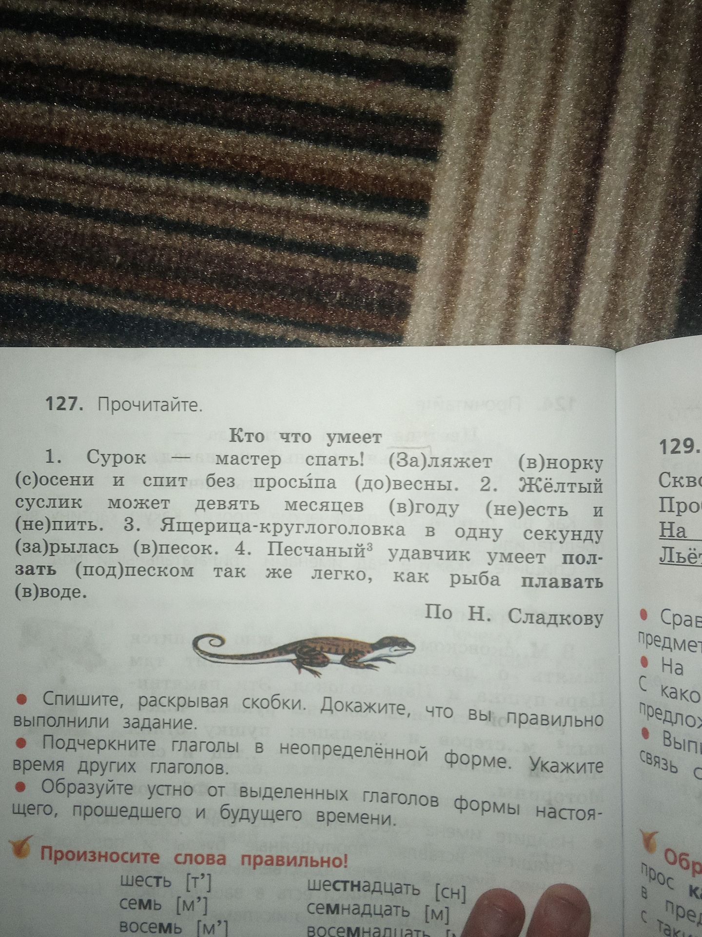 Фото задания: 127. Прочитайте. «Кто что умеет». 1. Сурок — мастер спать! (За)ляжет (в)норку (с)осени и спит без просыпа (до)весны. 2.…