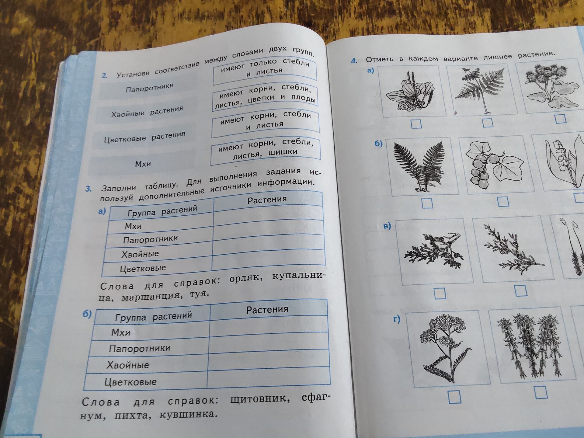 Фото задания: 3. Заполни таблицу. Для выполнения задания используй дополнительные источники информации. а) Группа растений — Растения. Мхи;…