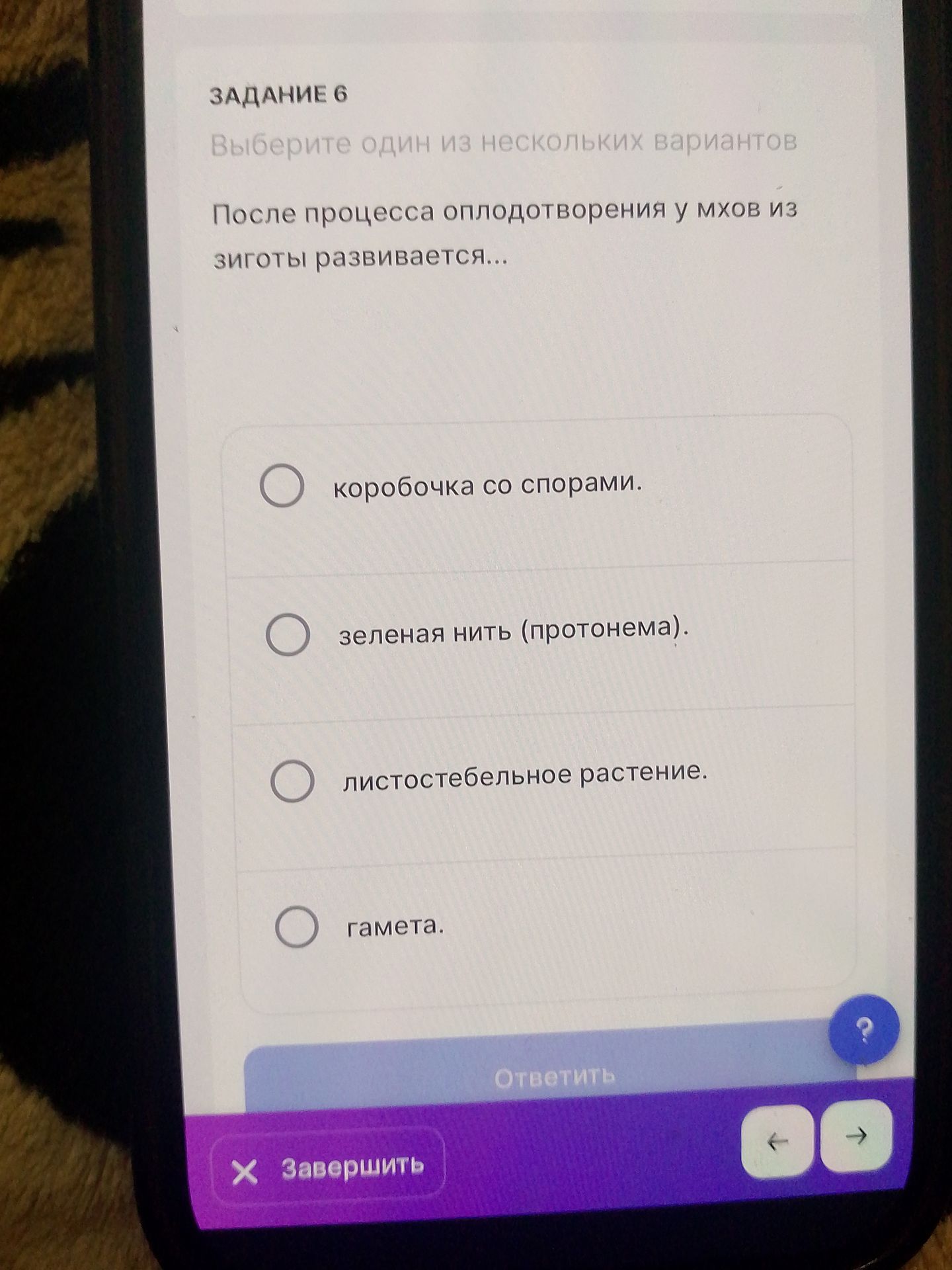 Фото задания: Задание 6. После процесса оплодотворения у мхов из зиготы развивается… Выберите один вариант: коробочка со спорами; зеленая…