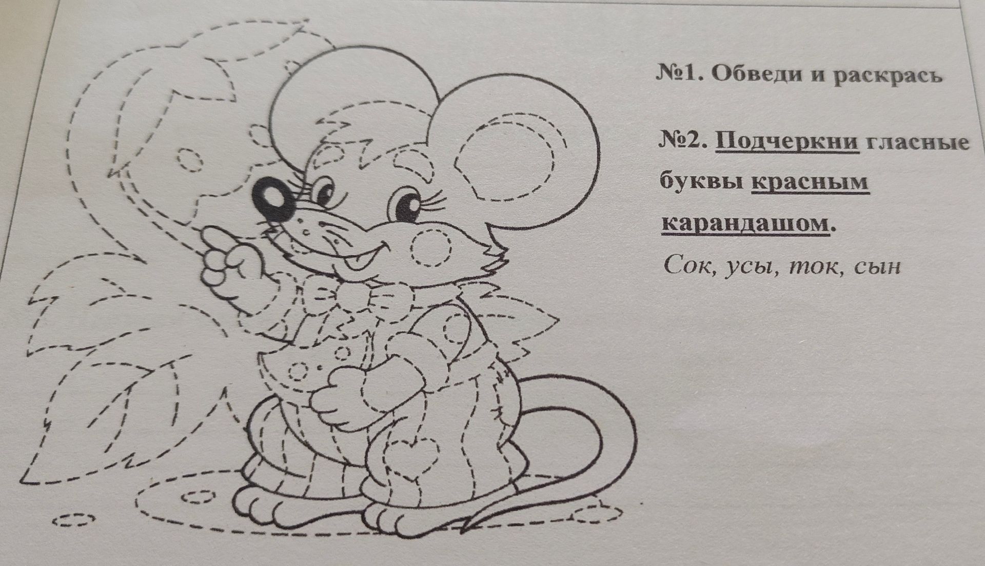 Фото задания: №1. Обведи и раскрась.