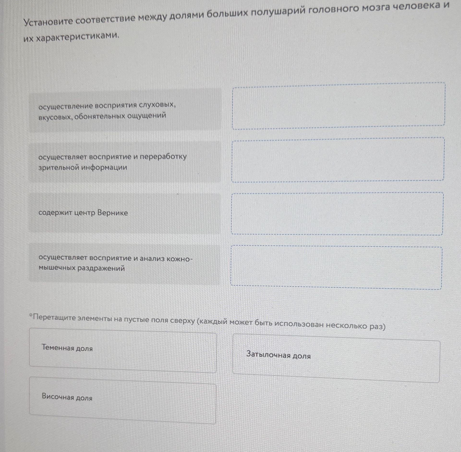 Фото задания: Установите соответствие между долями больших полушарий головного мозга человека и их характеристиками: осуществление…