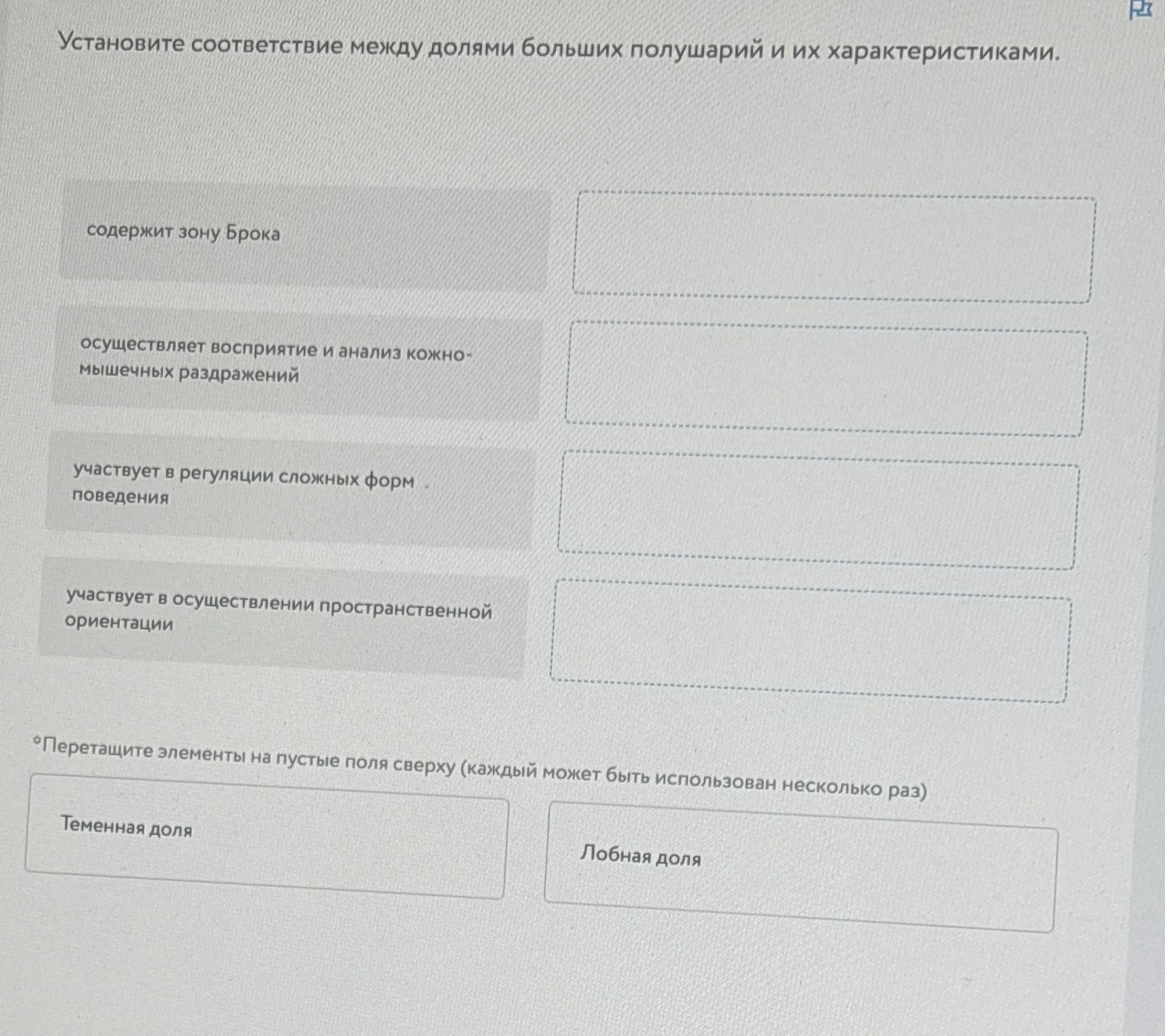 Фото задания: Установите соответствие между долями больших полушарий и их характеристиками: содержит зону Брока; осуществляет восприятие…