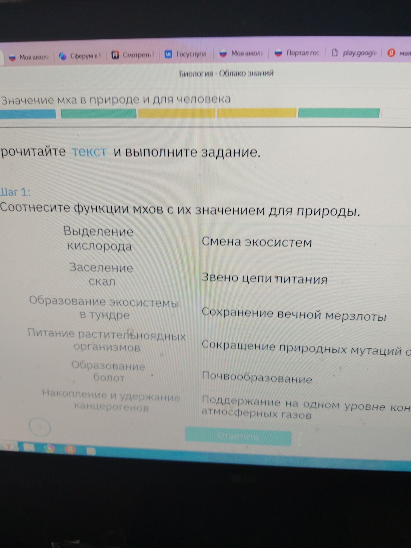 Фото задания: Шаг 1. Соотнесите функции мхов с их значением для природы: выделение кислорода; заселение скал; образование экосистемы в…