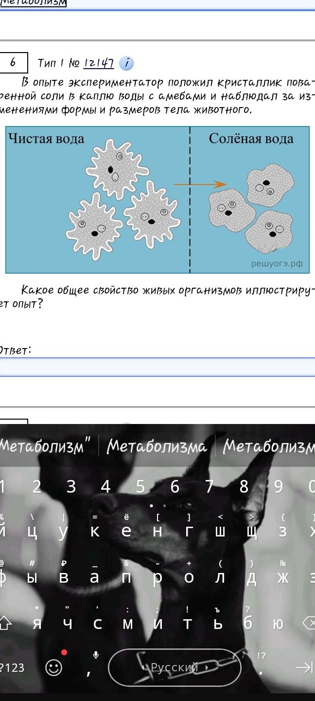 Фото задания: 6. Тип I № 12147. В опыте экспериментатор положил кристаллик поваренной соли в каплю воды с амёбами и наблюдал за изменениями…