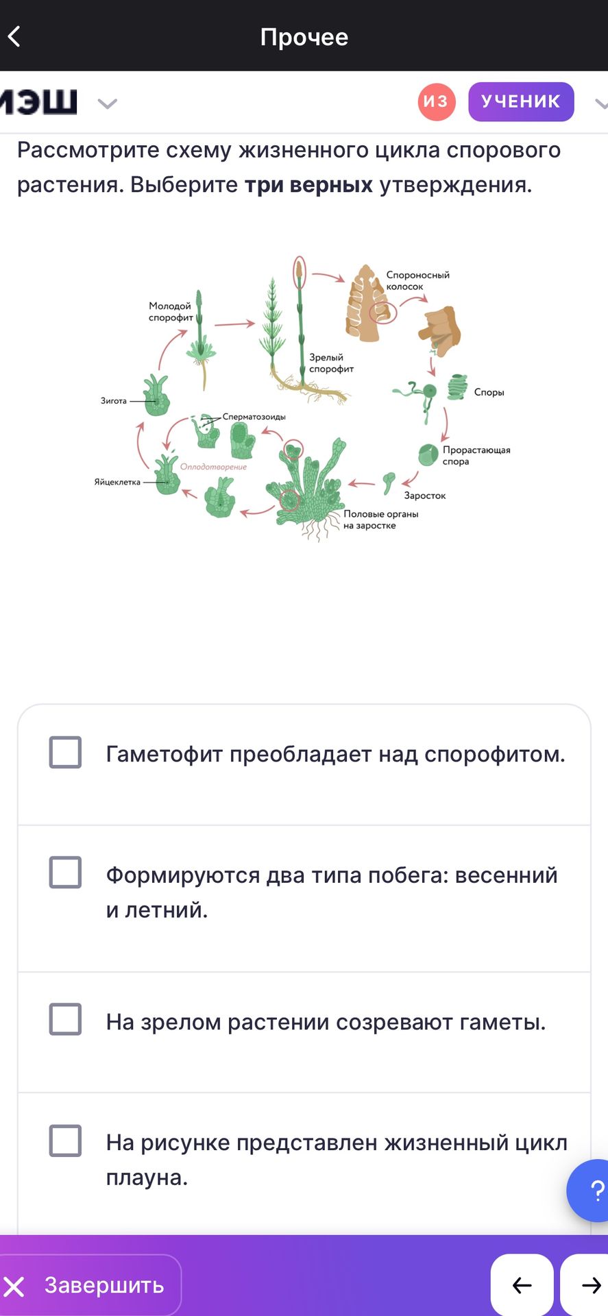 Фото задания: Рассмотрите схему жизненного цикла спорового растения. Выберите три верных утверждения. Варианты: 1) Гаметофит преобладает…