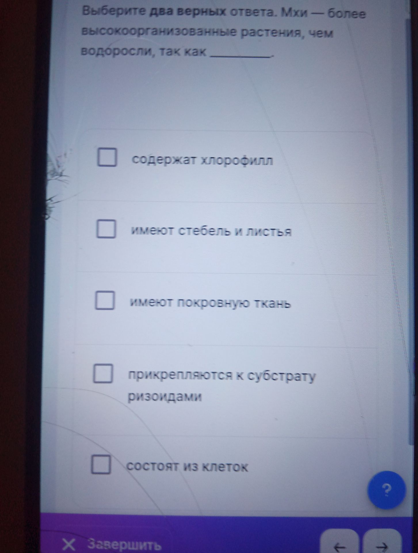 Фото задания: Выберите два верных ответа. Мхи — более высокоорганизованные растения, чем водоросли, так как содержат хлорофилл; имеют…