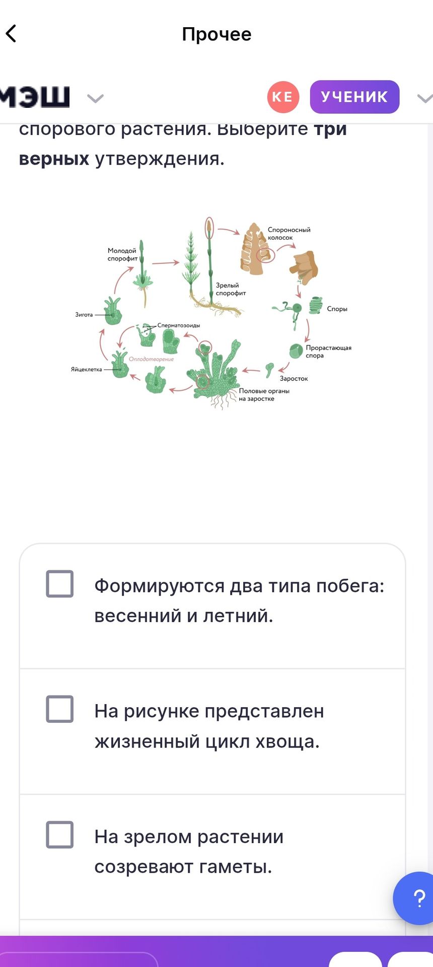 Фото задания: [Начало задания и часть условия обрезаны.] … спорового растения. Выберите три верных утверждения. Видимые варианты: 1)…