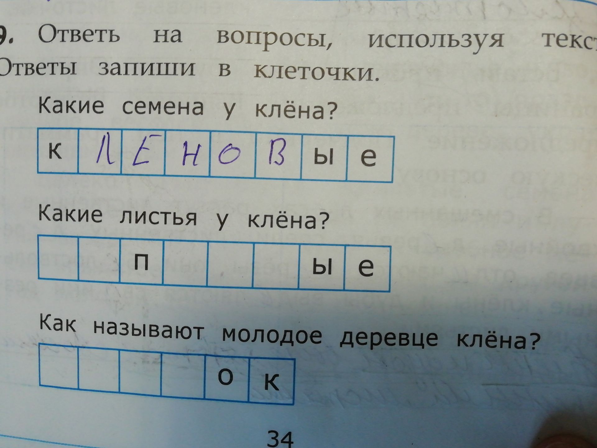 Фото задания: 9. Ответь на вопросы, используя текст. Ответы запиши в клеточки. Какие семена у клёна? Какие листья у клёна? Как называют…