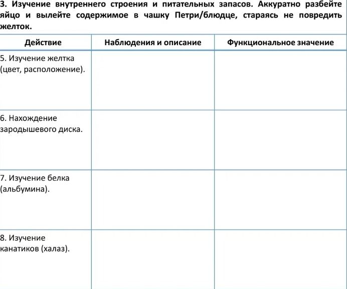 Фото задания: 3. Изучение внутреннего строения и питательных запасов. Аккуратно разбейте яйцо и вылейте содержимое в чашку Петри/блюдце,…