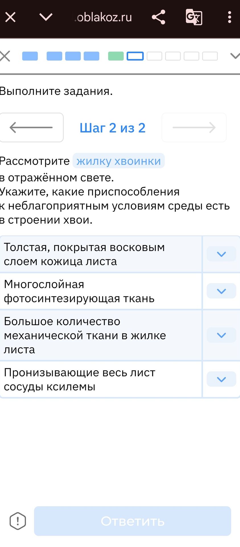 Фото задания: Рассмотрите жилку хвоинки в отражённом свете. Укажите, какие приспособления к неблагоприятным условиям среды есть в…
