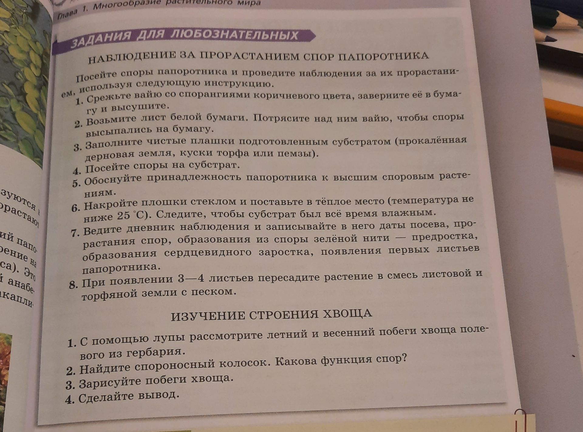 Фото задания: Наблюдение за прорастанием спор папоротника. Посейте споры папоротника и проведите наблюдения за их прорастанием, используя…