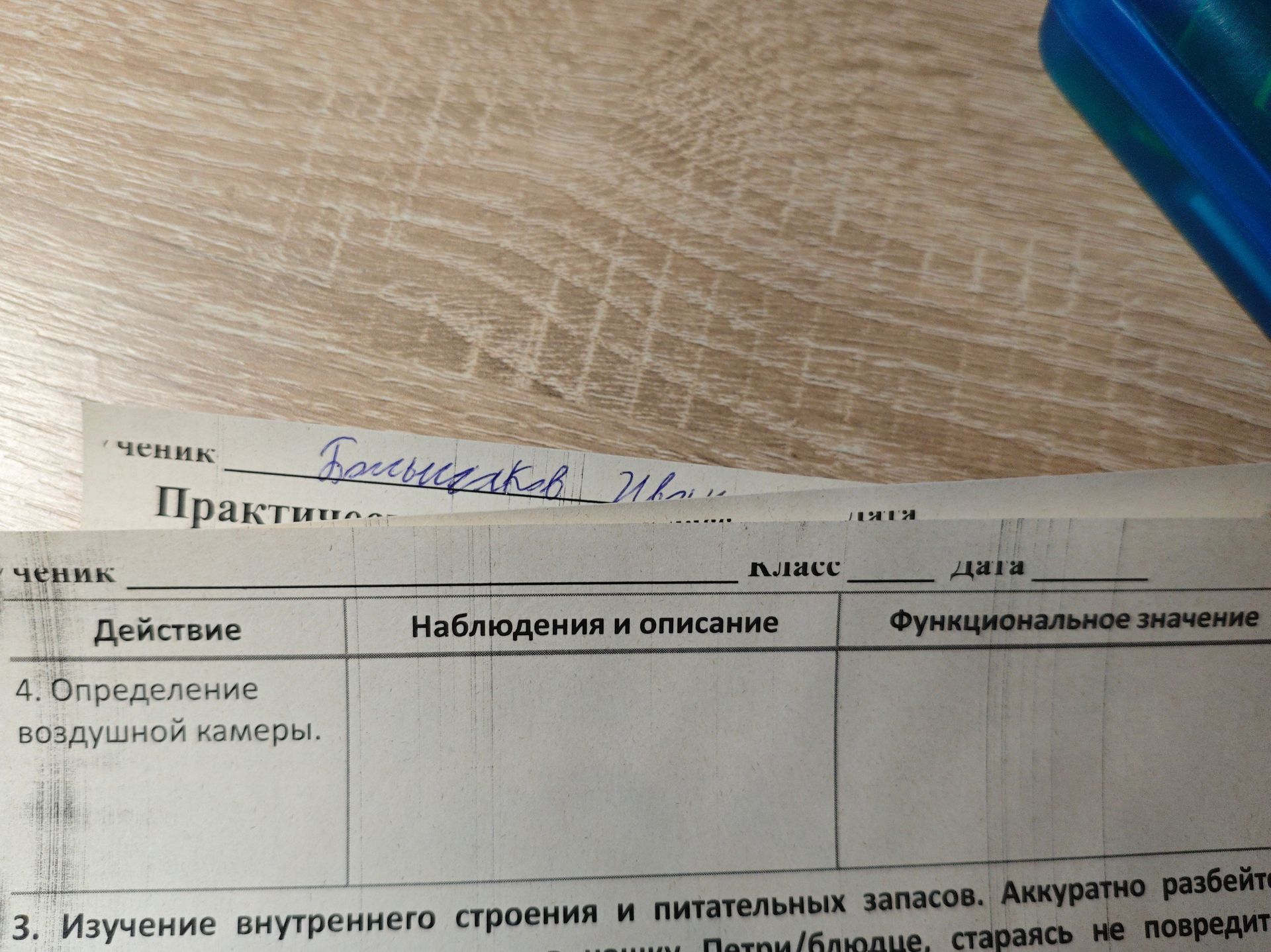 Фото задания: 4. Определение воздушной камеры. (Графы таблицы: «Наблюдения и описание», «Функциональное значение».)