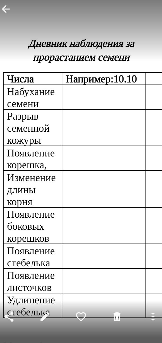 Фото задания: Дневник наблюдения за прорастанием семени. Числа (например: 10.10); набухание семени; разрыв семенной кожуры; появление…