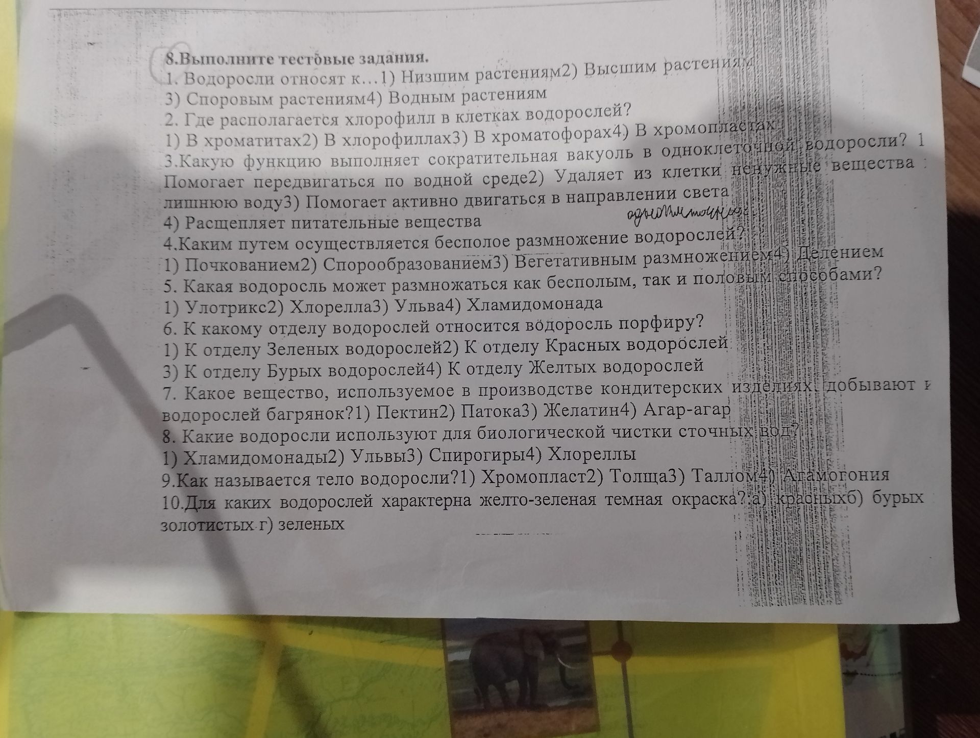 Фото задания: 8. Выполните тестовые задания. 1. Водоросли относят к: 1) низшим растениям; 2) высшим растениям; 3) споровым растениям; 4)…