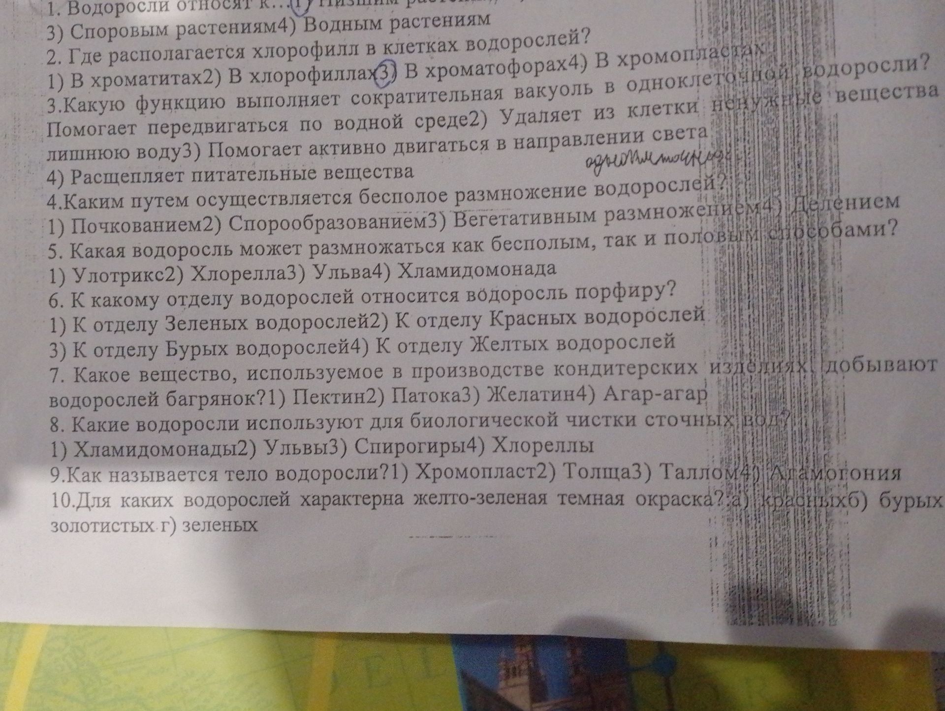Фото задания: 6. К какому отделу водорослей относится водоросль порфиру? 1) К отделу Зелёных водорослей; 2) К отделу Красных водорослей; 3)…