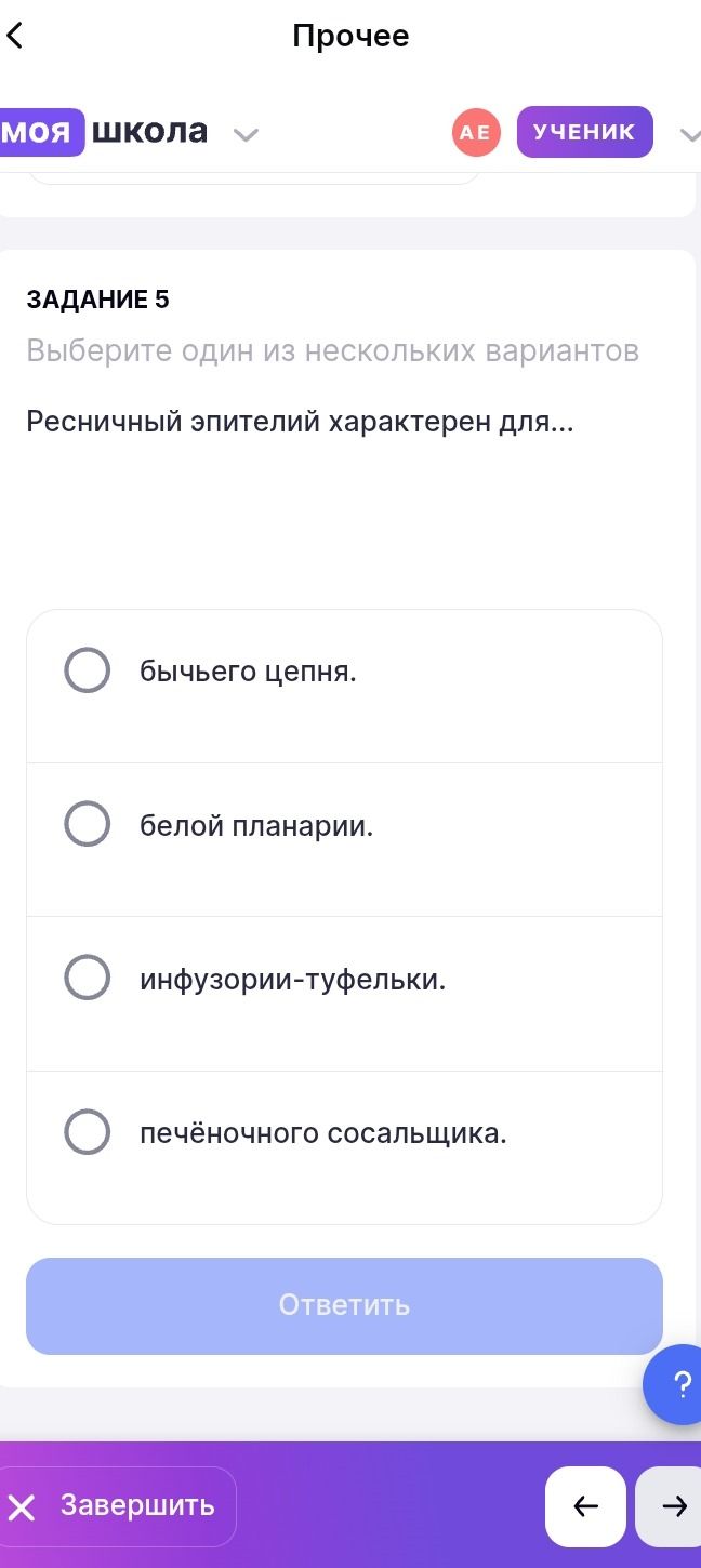 Фото задания: Задание 5. Выберите один из нескольких вариантов: ресничный эпителий характерен для… А) бычьего цепня; Б) белой планарии;…