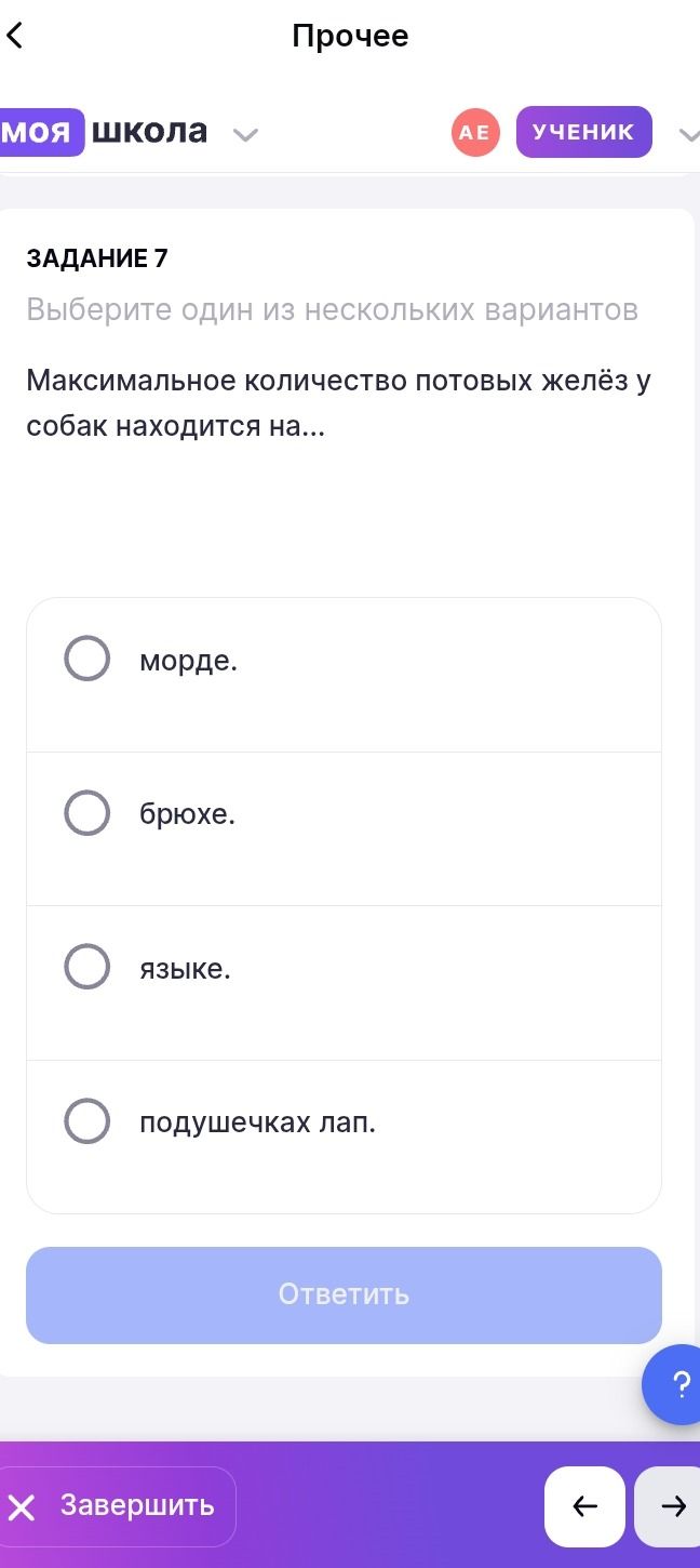 Фото задания: ЗАДАНИЕ 7. Максимальное количество потовых желёз у собак находится на… Выберите один из вариантов: морде; брюхе; языке;…