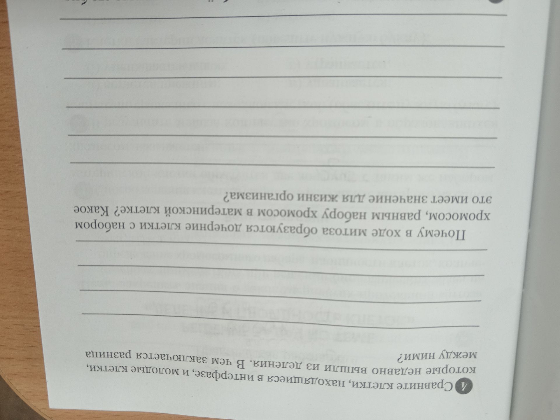 Фото задания: Почему в ходе митоза образуются дочерние клетки с набором хромосом, равным набору хромосом в материнской клетке? Какое это…