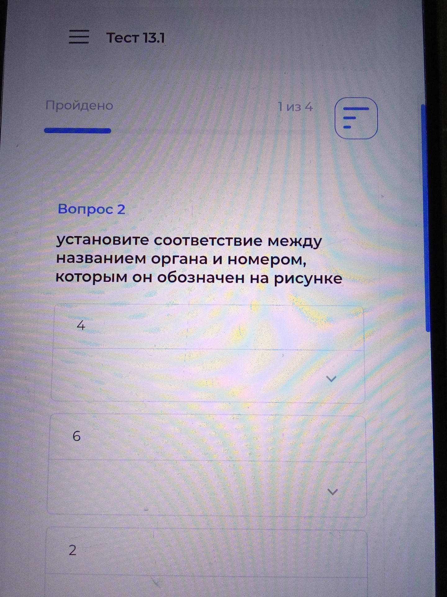 Фото задания: Вопрос 2. Установите соответствие между названием органа и номером, которым он обозначен на рисунке. На изображении видны…