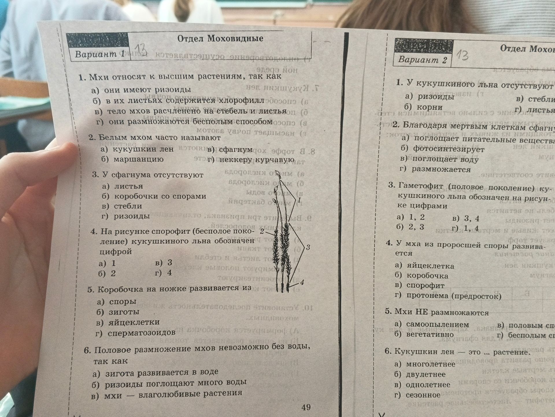 Фото задания: Вариант 1. 1. Мхи относят к высшим растениям, так как: а) они имеют ризоиды; б) в их листьях содержится хлорофилл; в) тело…