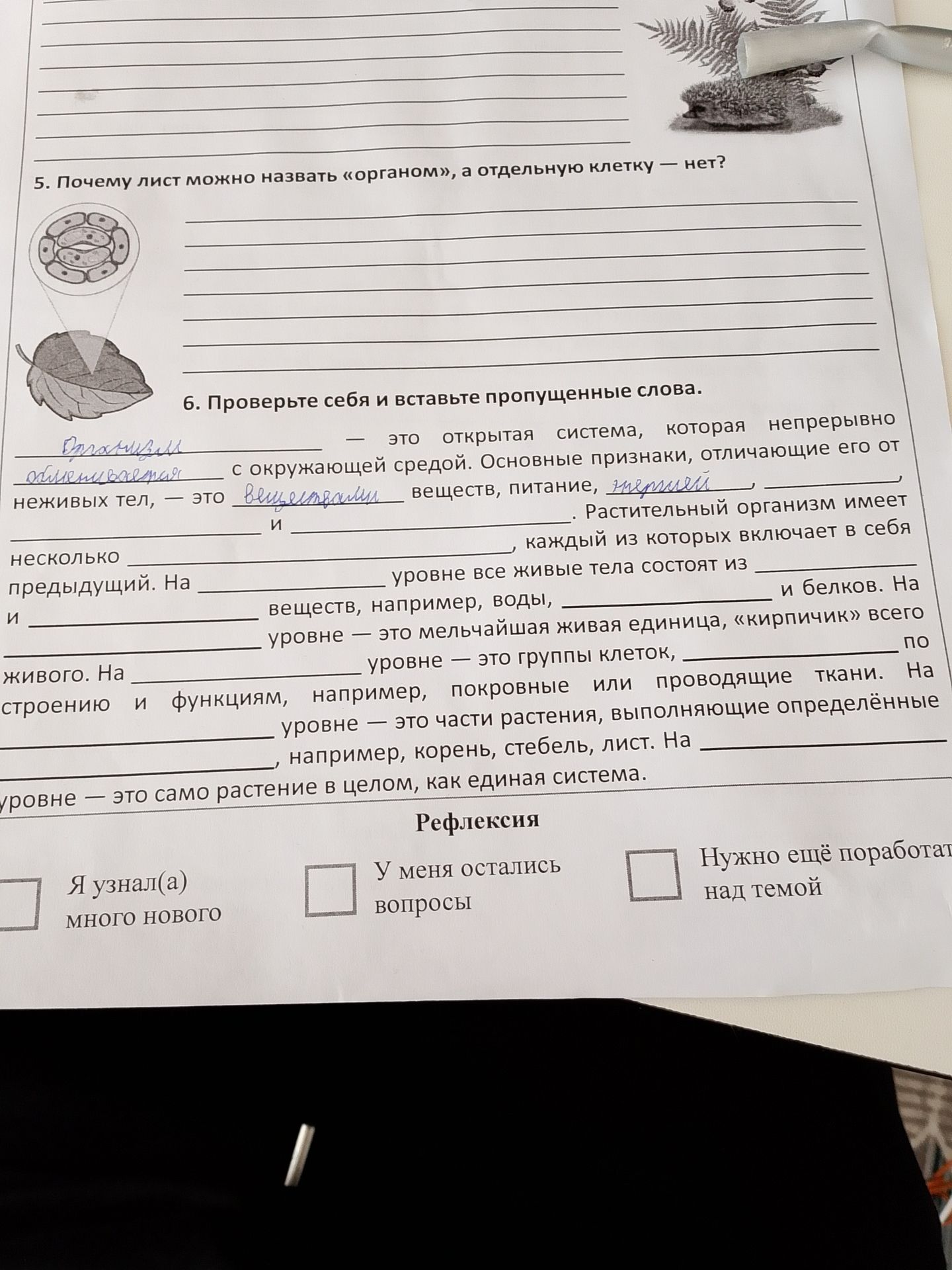 Фото задания: 6. Проверьте себя и вставьте пропущенные слова. ___ — это открытая система, которая непрерывно ___ с окружающей средой.…
