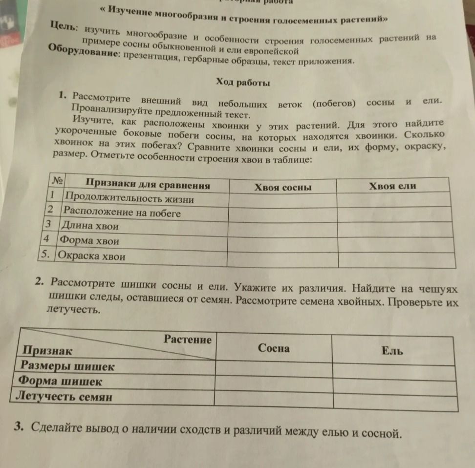 Фото задания: 1. Рассмотрите внешний вид небольших веток (побегов) сосны и ели. Проанализируйте предложенный текст. Изучите, как…