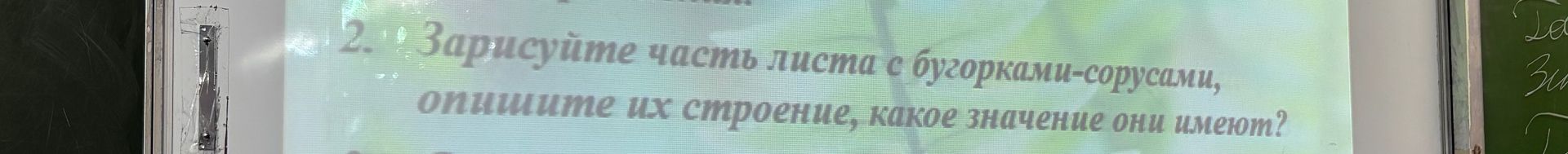 Фото задания: 2. Зарисуйте часть листа с бугорками-сорусами, опишите их строение, какое значение они имеют?
