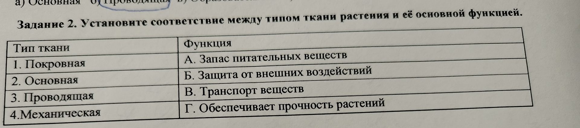 Фото задания: Задание 2. Установите соответствие между типом ткани растения и её основной функцией. Тип ткани: 1. Покровная; 2. Основная;…