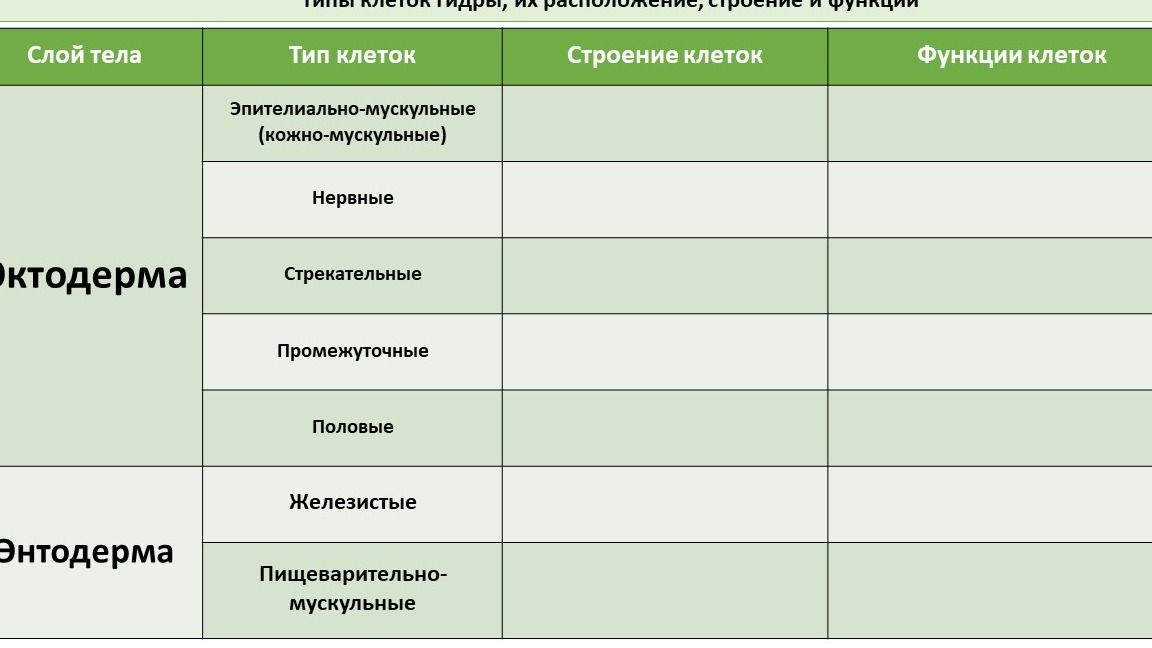 Фото задания: Типы клеток гидры, их расположение, строение и функции. Заполните таблицу.