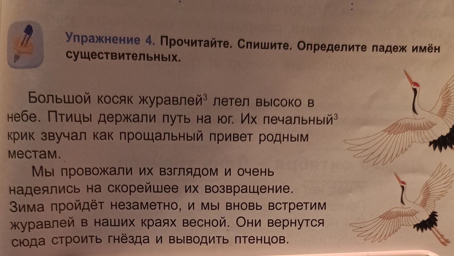 Фото задания: Упражнение 4. Прочитайте. Спишите. Определите падеж имён существительных. Большой косяк журавлей летел высоко в небе. Птицы…