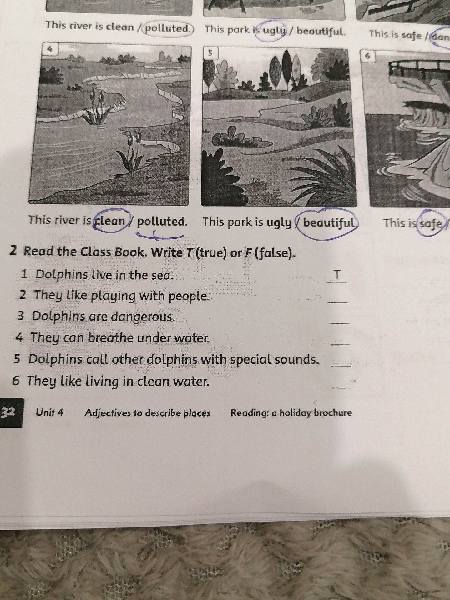 Фото задания: 2. Read the Class Book. Write T (true) or F (false). 1) Dolphins live in the sea. 2) They like playing with people. 3)…