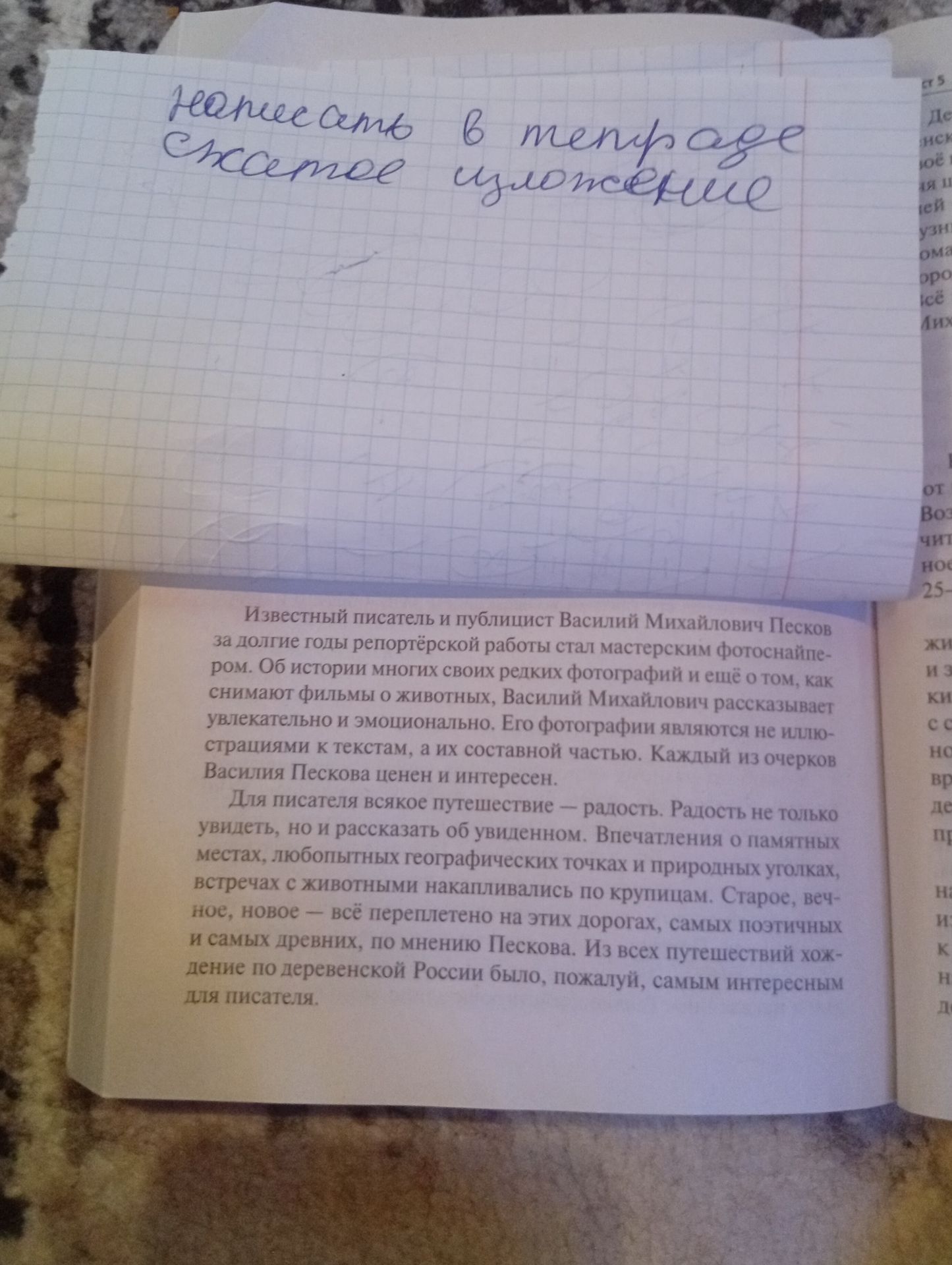 Фото задания: Летнее окно в природу. Эссе-рассуждение.