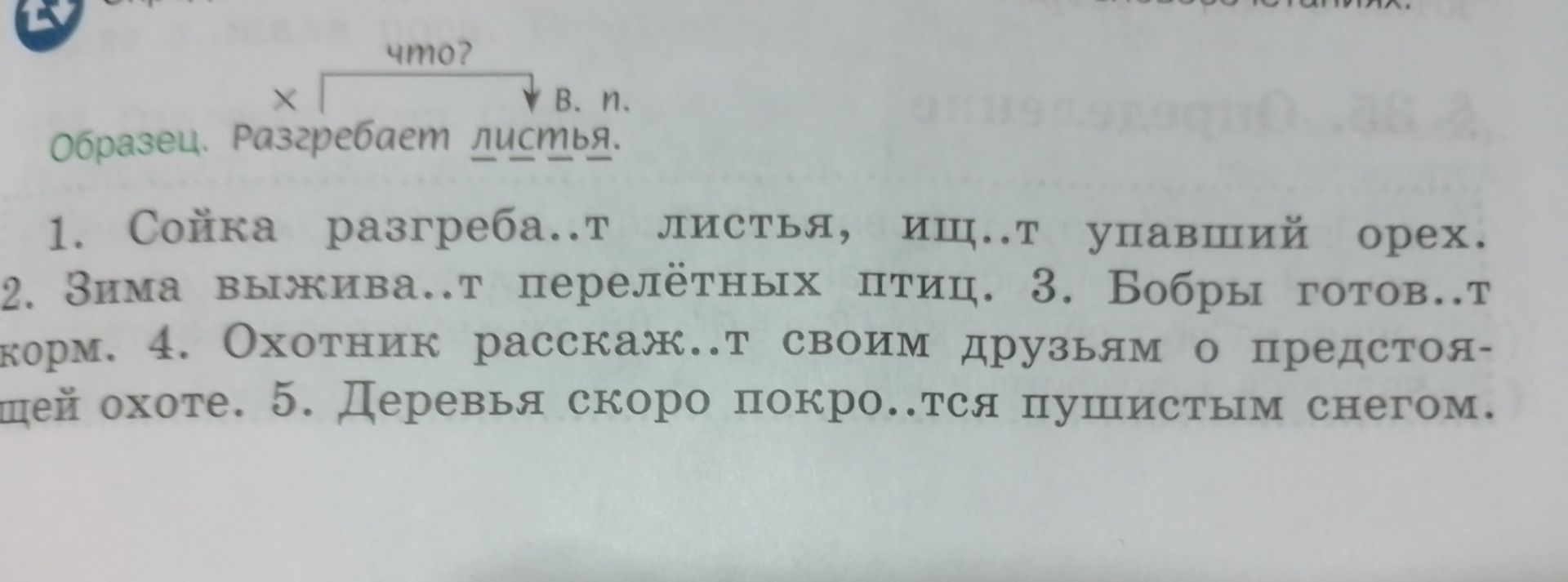 Фото задания: 1. Сойка разгреба..т листья, ищ..т упавший орех. 2. Зима выжива..т перелётных птиц. 3. Бобры готов..т корм. 4. Охотник…