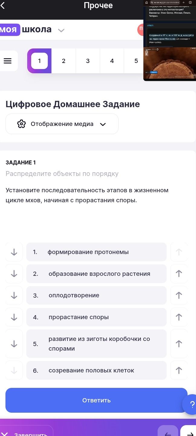 Фото задания: Распределите объекты по порядку. Установите последовательность этапов в жизненном цикле мхов, начиная с прорастания споры: 1)…