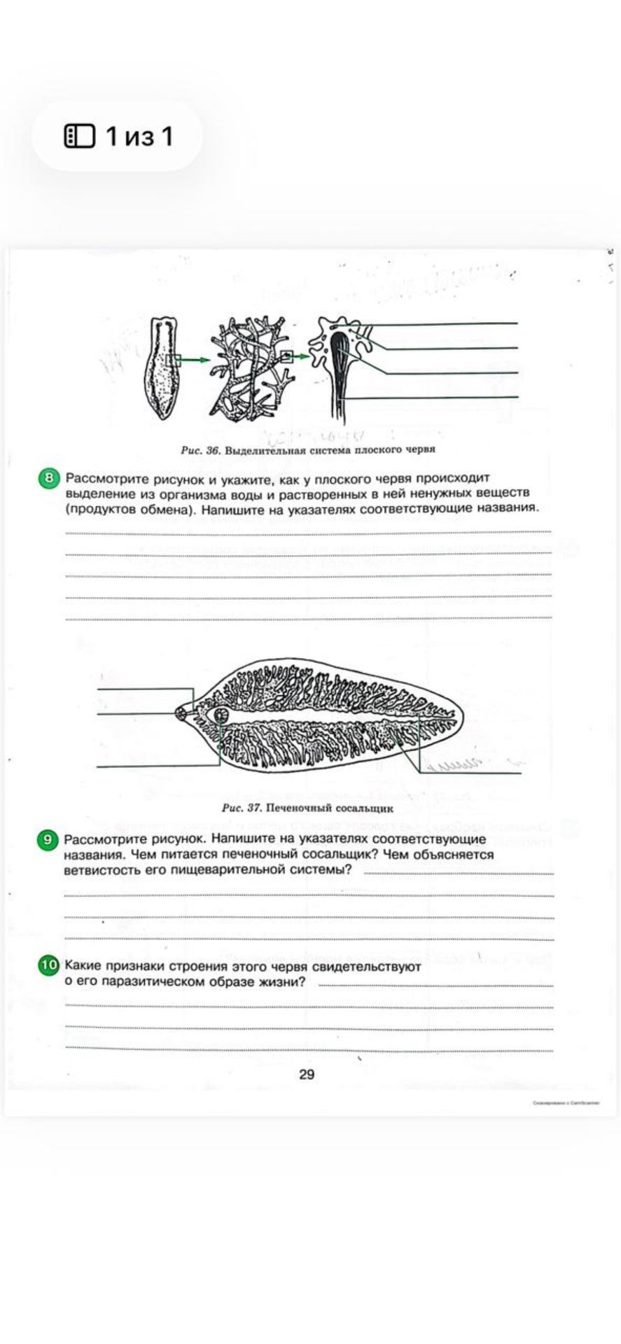 Фото задания: 8. Рассмотрите рисунок и укажите, как у плоского червя происходит выделение из организма воды и растворённых в ней ненужных…