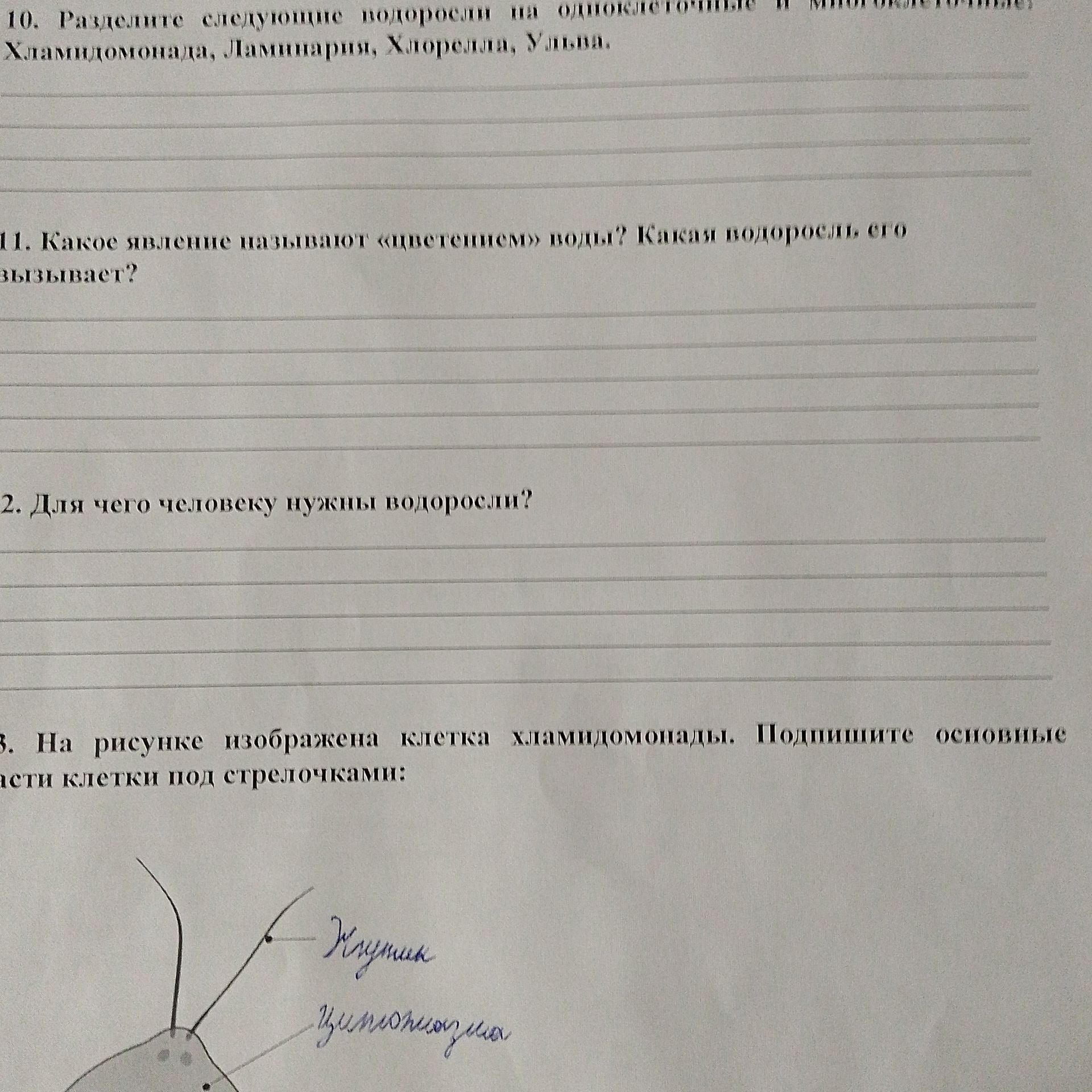 Фото задания: 2. Для чего человеку нужны водоросли?