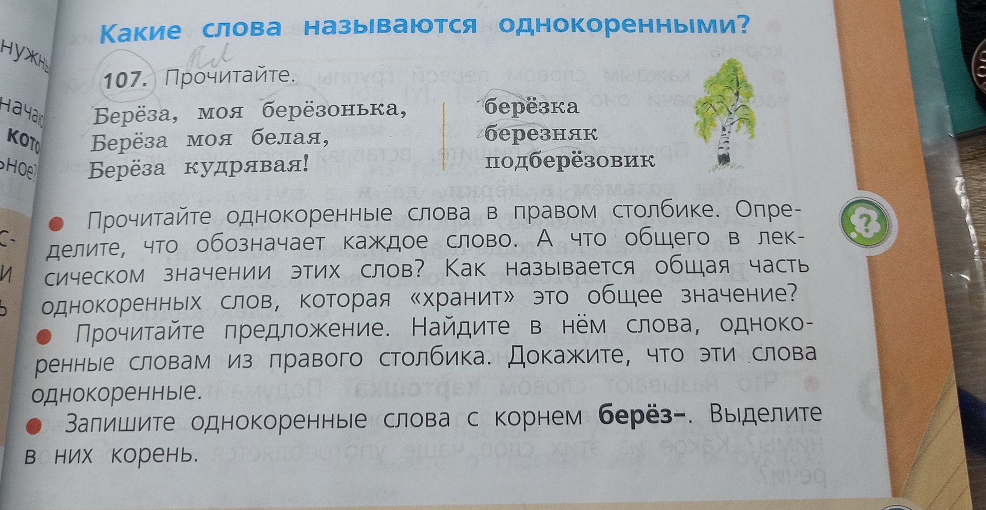 Фото задания: 107. Прочитайте однокоренные слова в правом столбике. Определите, что обозначает каждое слово. А что общего в лексическом…