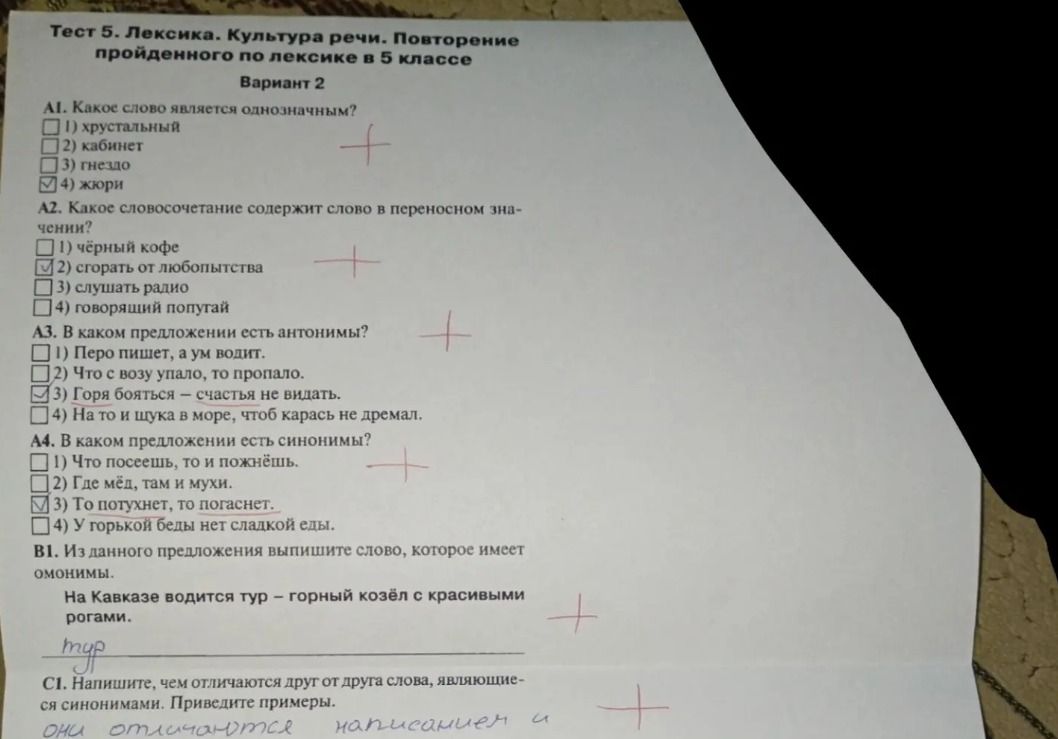 Фото задания: А4. В каком предложении есть синонимы? 1) Что посеешь, то и пожнёшь. 2) Где мёд, там и мухи. 3) То потухнет, то погаснет.…