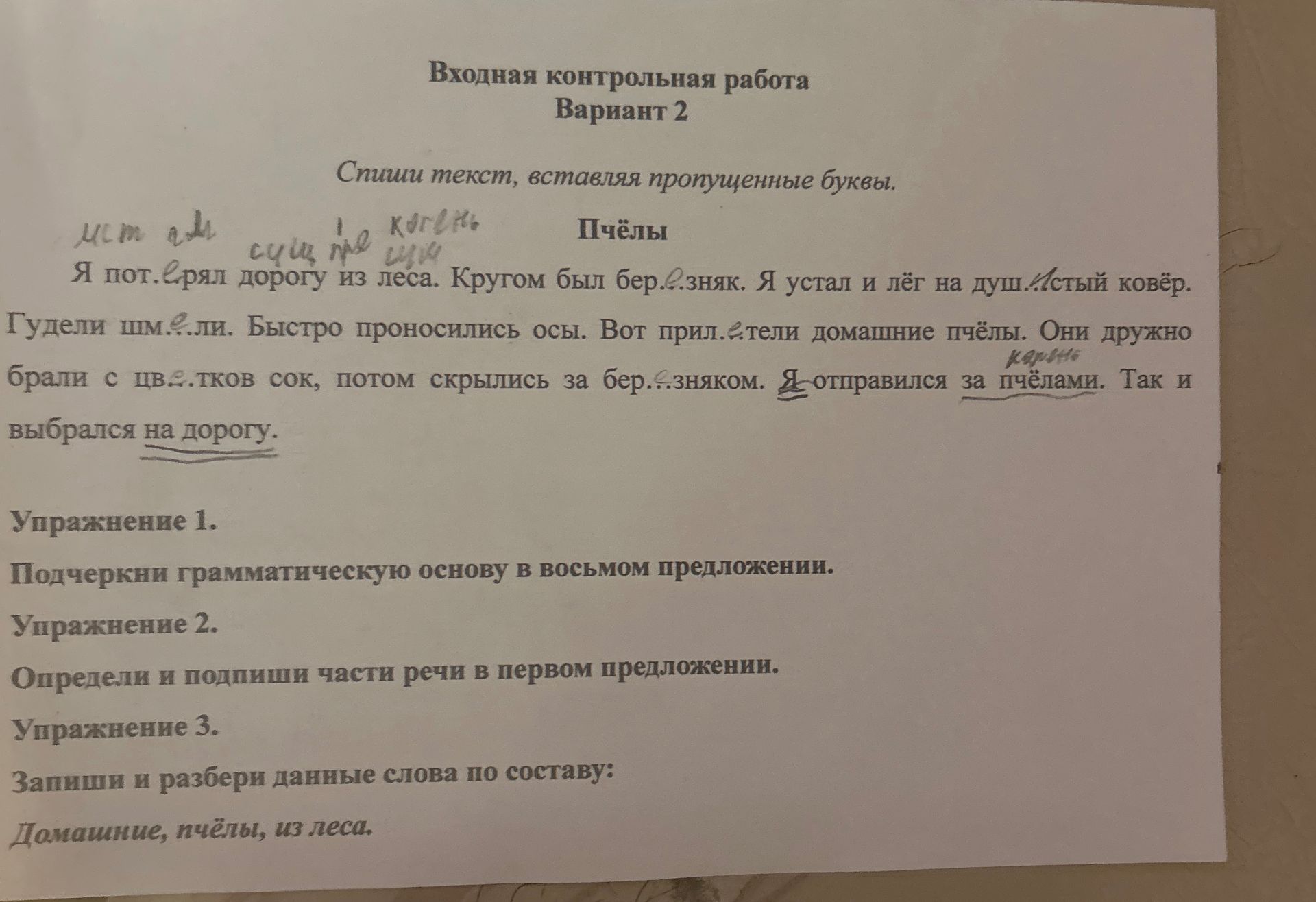 Фото задания: Упражнение 3. Запиши и разбери данные слова по составу: домашние, пчёлы, из леса.