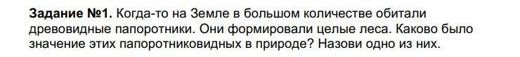 Фото задания: Задание №1. Когда-то на Земле в большом количестве обитали древовидные папоротники. Они формировали целые леса. Каково было…