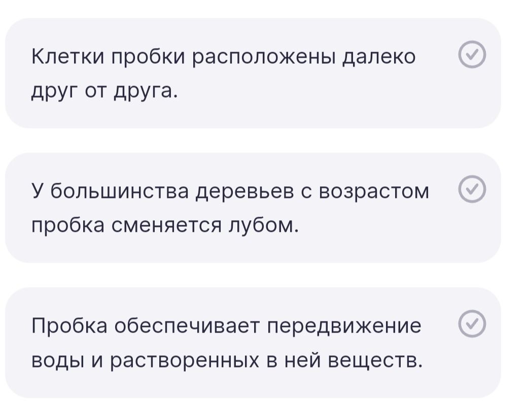 Фото задания: Определите, верны ли утверждения: «Клетки пробки расположены далеко друг от друга». «У большинства деревьев с возрастом…