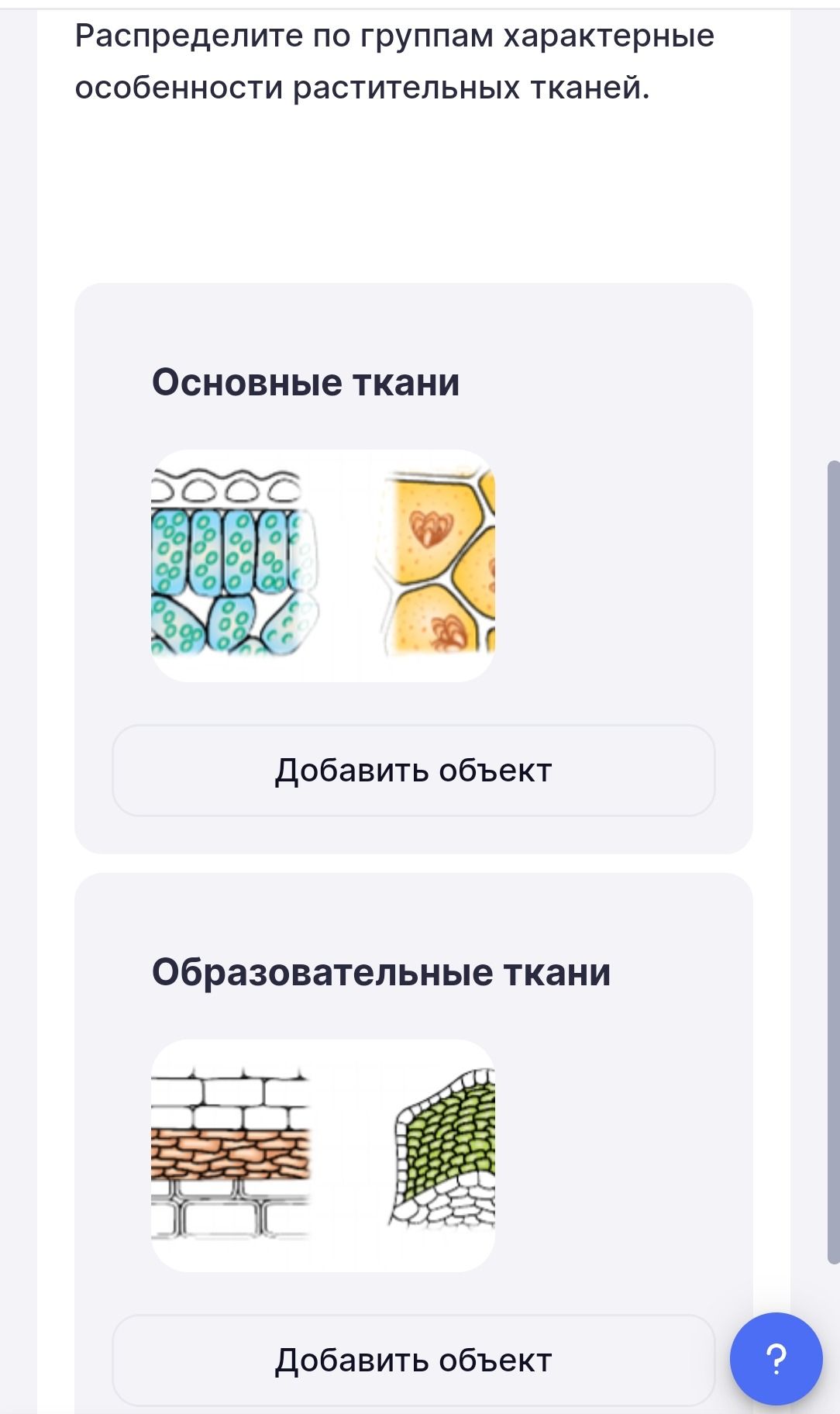 Фото задания: Распределите по группам характерные особенности растительных тканей. Группы: основные ткани, образовательные ткани. На…