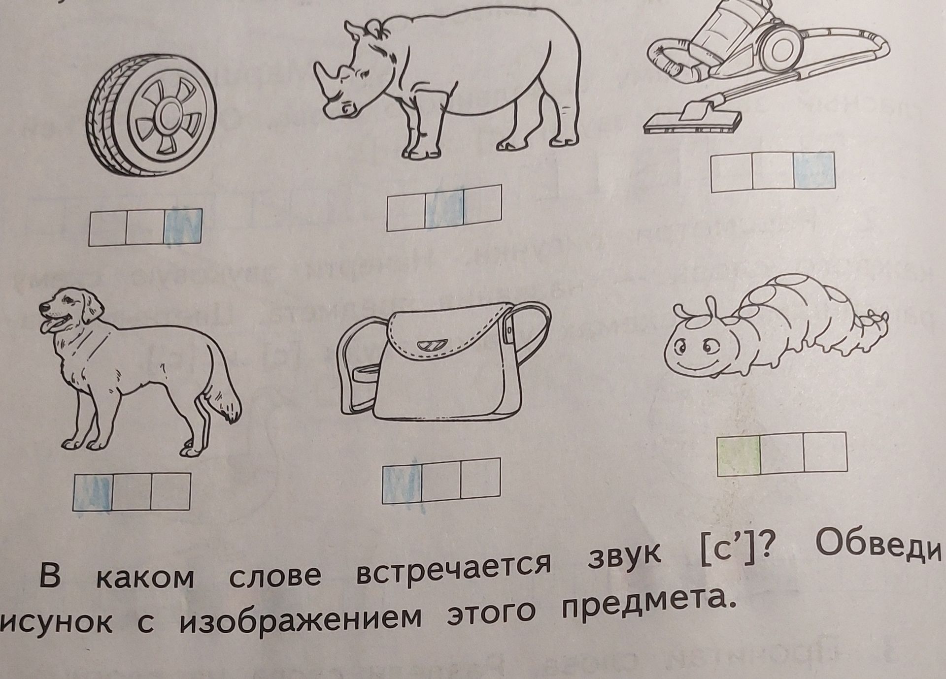 Фото задания: В каком слове встречается звук [с’]? Обведи рисунок с изображением этого предмета.