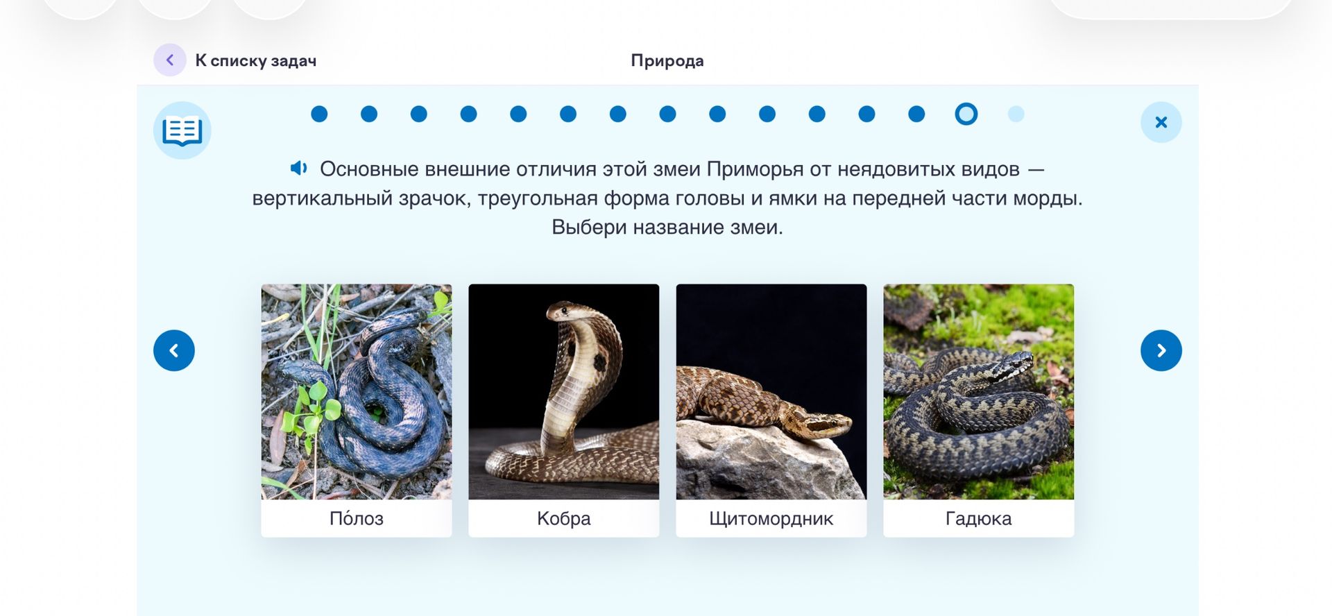 Фото задания: Основные внешние отличия этой змеи Приморья от неядовитых видов — вертикальный зрачок, треугольная форма головы и ямки на…